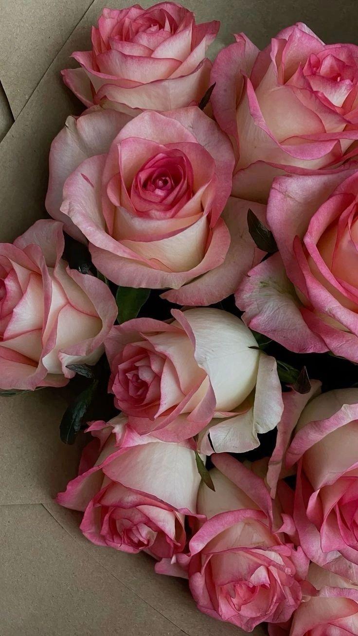 Garden's Embrace: A Symphony in Bloom